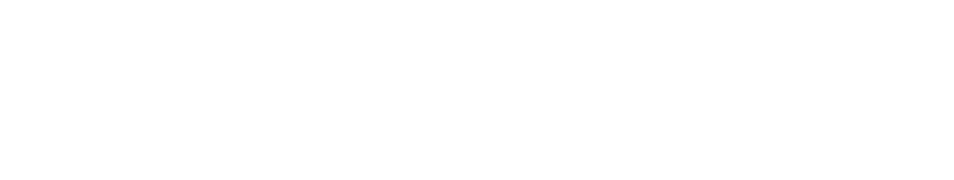 MetaFundFX logotype White